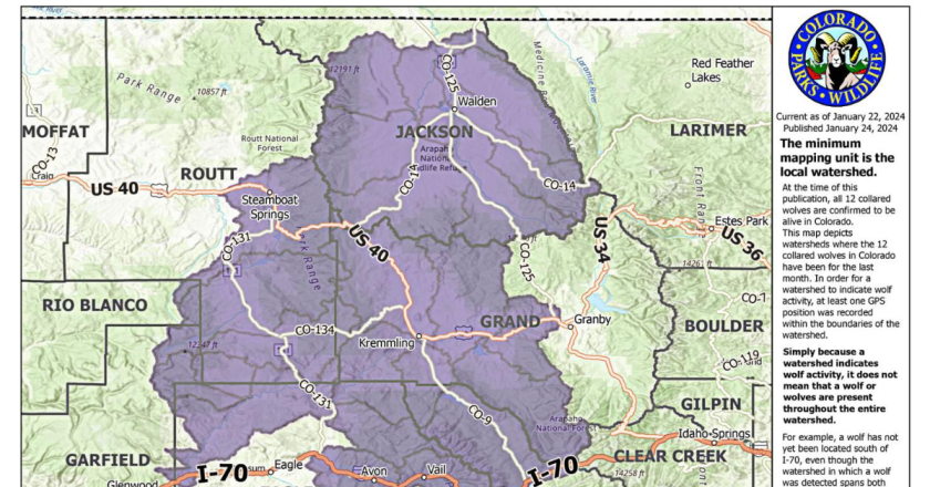 Map released showing where Colorado wolves roamed