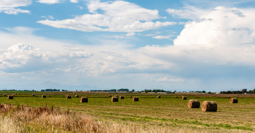 GAO: USDA needs to improve tracking of foreign farmland ownership