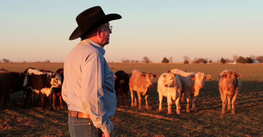 Polis plans to fool ranchers again with radical appointees to Parks and Wildlife