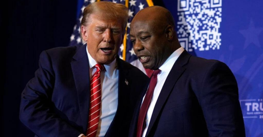 Trump vice president speculation rises as GOP primary accelerates