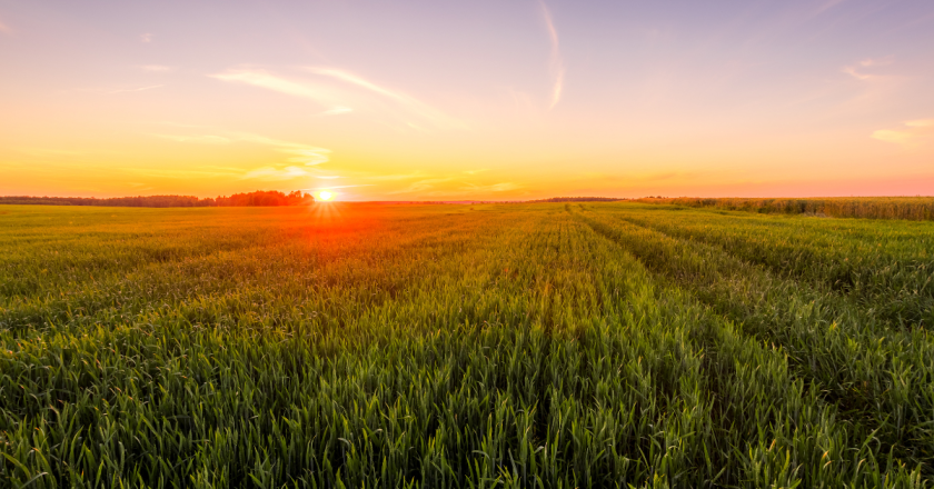 Natural Asset Companies proposed rule threatens property rights