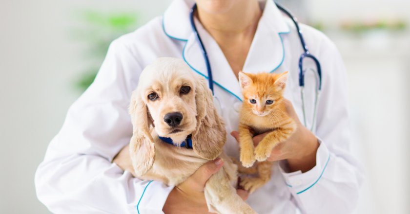 Telehealth bill aims to increase rural access to vet care