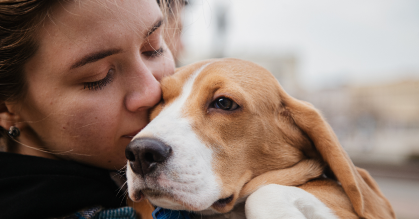 Democrat turns tail on proposed pet tax after voter backlash