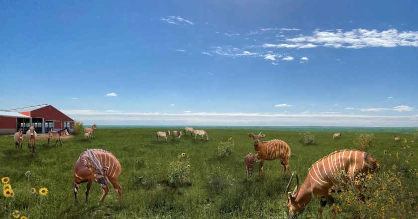 Denver Zoo to open 570-acre conservation preserve in Weld County