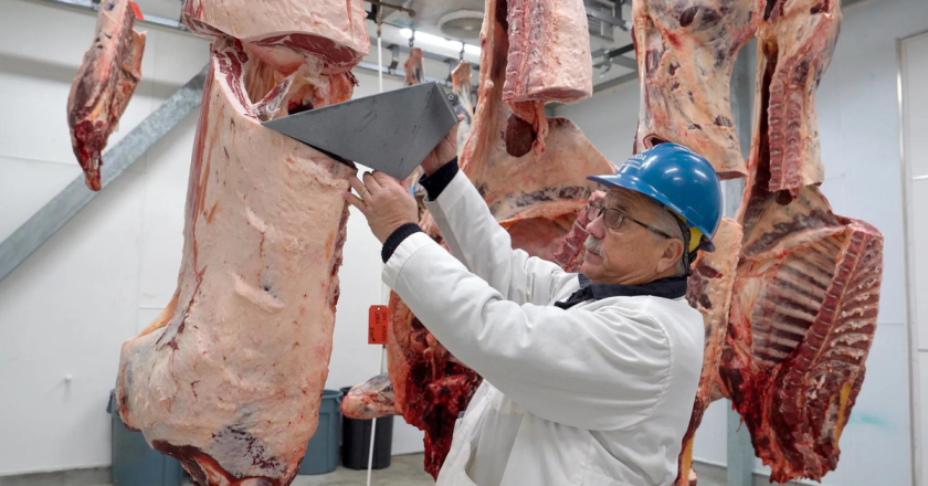 Beef, quality-stamped by an in-person grader, may soon be graded by someone looking at a picture