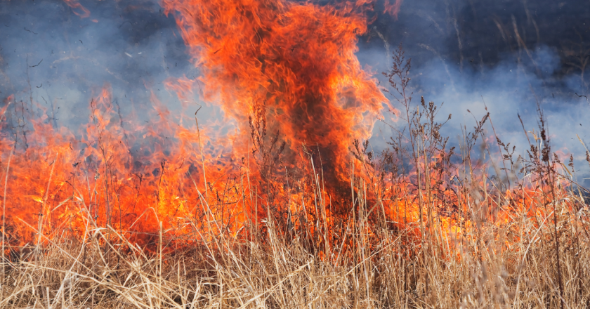 Wildland fire burning west of Pueblo is 0% contained, multiple agencies responded