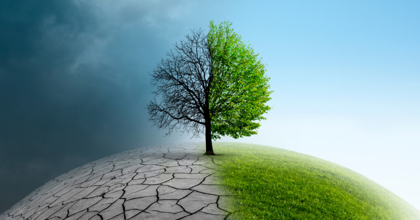 Jensen: Why conservative climate leadership is needed