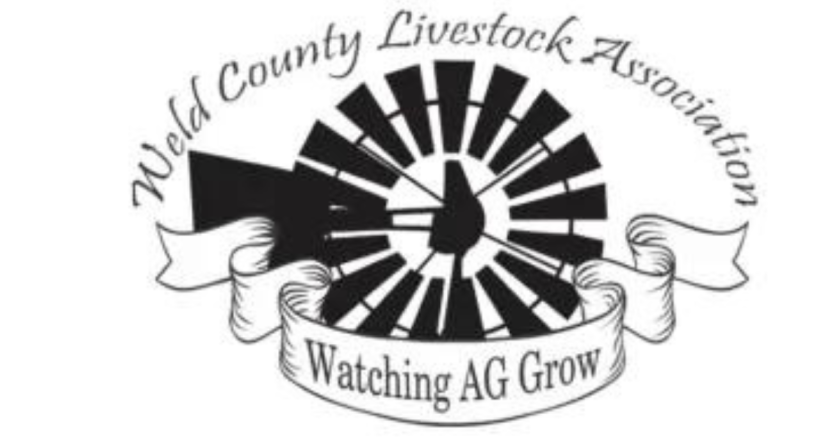 Weld County Livestock Association to award $8,500 in college scholarships