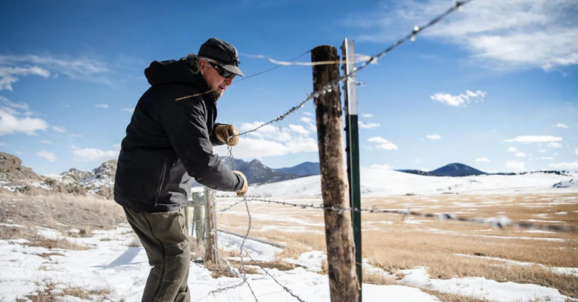 This Colorado rancher sees a world where conservation can turn a profit