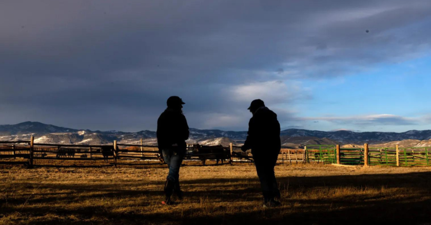 Rural “cowboy up” culture has led to high suicide rates. How can the state improve mental health in ag?