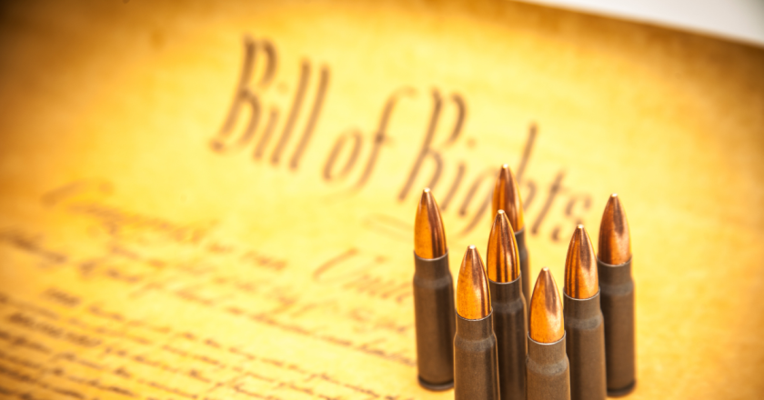 Hillman: Progressive gun control bills defy common sense