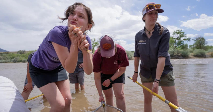 Palisade High School releases its thousandth endangered razorback into the Colorado River