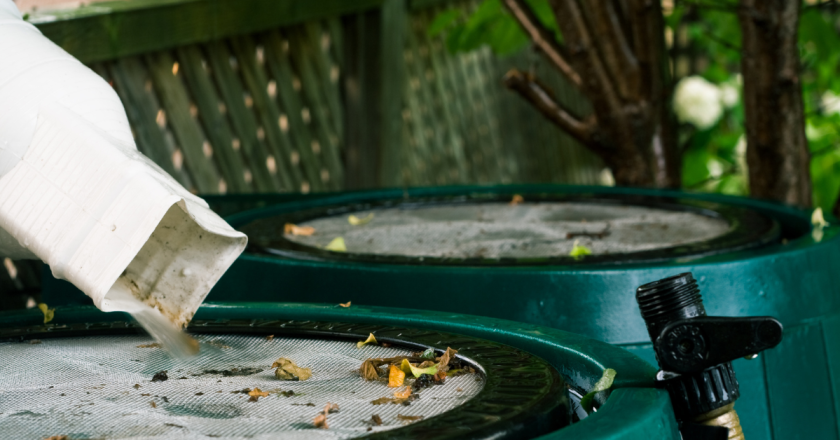 Understanding the complexity of Colorado’s rainwater collection laws