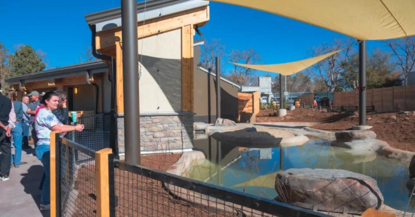 Denver Zoo unveils new name and conservation focus