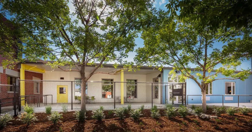 Young teachers at Denver school say they were sexually abused by special needs students for months without help