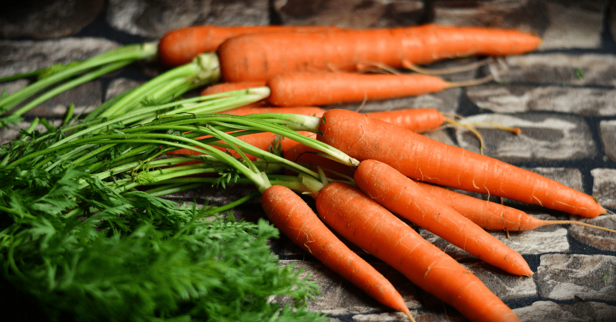 With Thanksgiving nearing, carrot E. coli outbreak offers new concerns for Coloradans