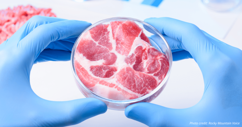 Eastern Plains lawmakers want to prohibit ‘cultivated’ meat in Colorado