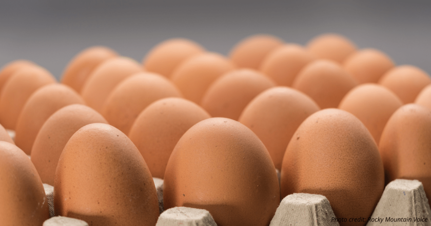 In response to demand for eggs, grocers putting limits on egg sales