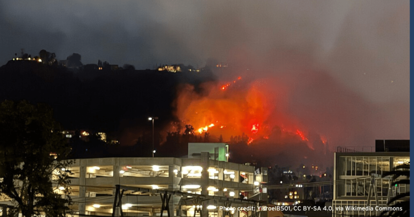 Franz: California’s fires show environmentalist policies can have deadly results