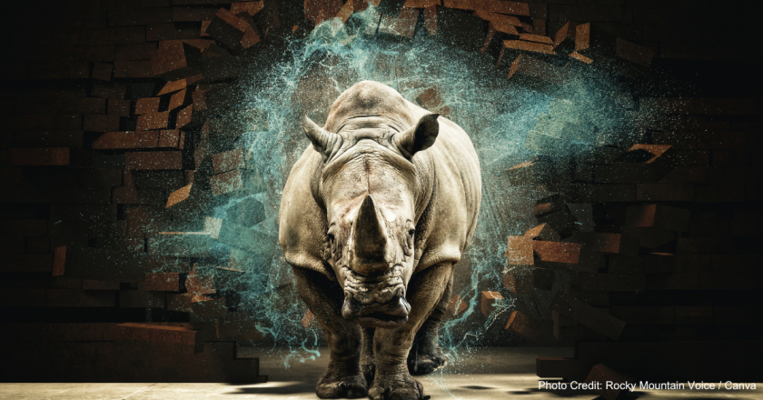 Garbo: An open letter to RINO Watch Colorado — my self-nomination