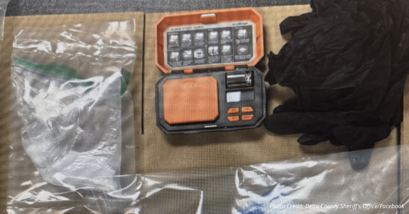 Colorado drug bust includes elephant sedative