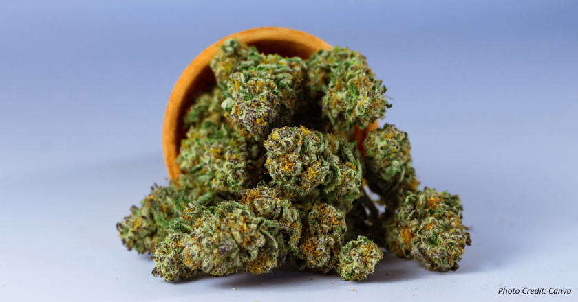 How will marijuana revenue shortfalls affect District 51?