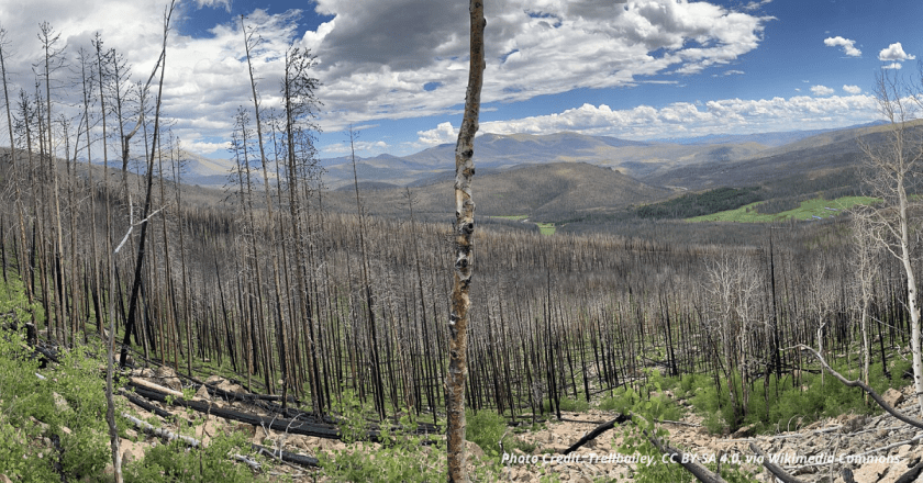 Feds unfreeze $4M for Upper Colorado River Basin watershed restoration
