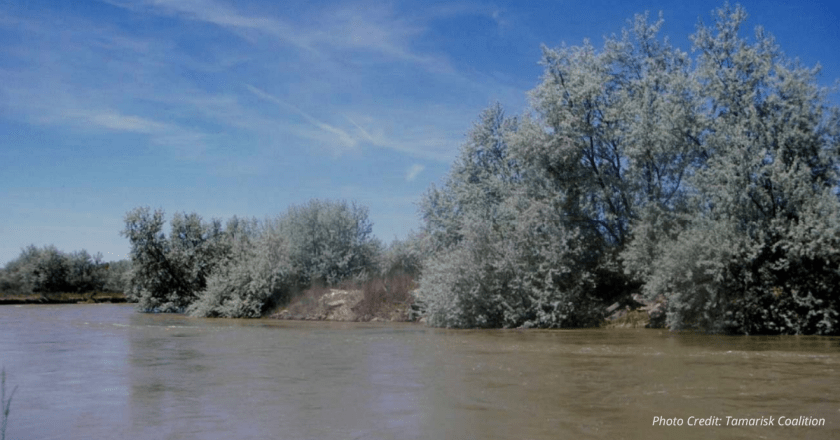 Walcher: Colorado River drought studies blame climate change, not federal land mismanagement