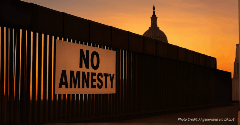 border wall with No Amnesty sign and Capitol shadow