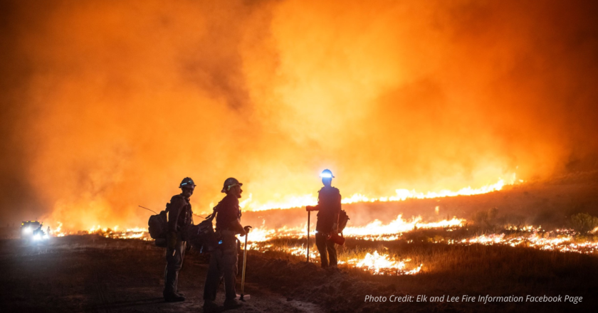 Colorado Fires Show Mixed Progress Elk Fire Contained Lee Fire Still Raging