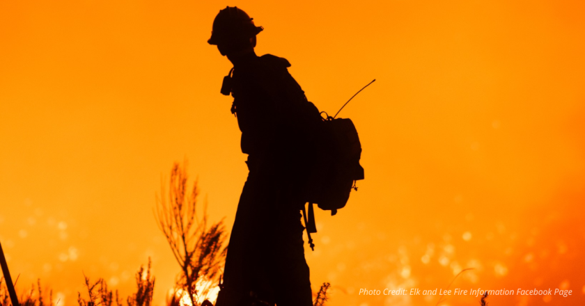 Wildfire Relief Effort Scales Up Across Western Colorado