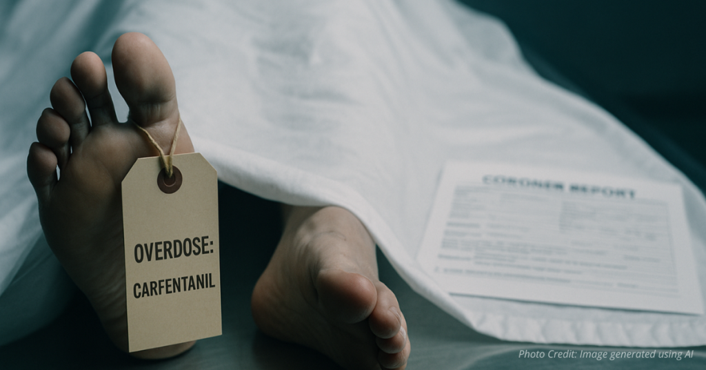 Body on morgue table with toe tag labeled ‘Carfentanil overdose’ symbolizes rising death toll