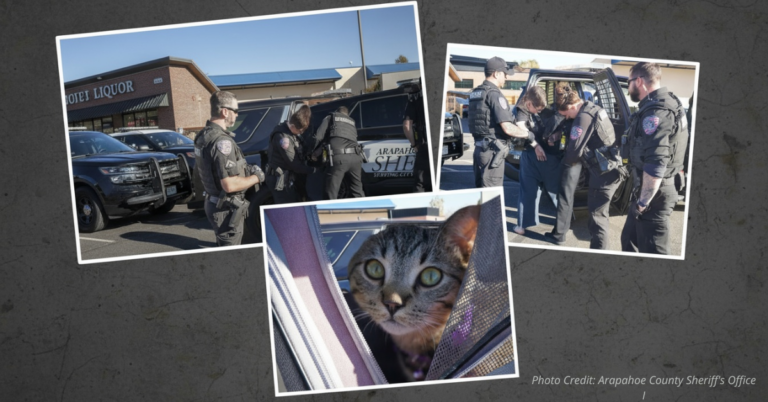 Violent liquor store heist ends in arrest.