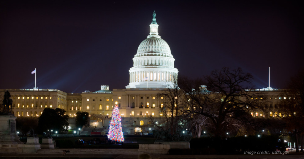 U.S. Capitol Building at night during the Christmas season.