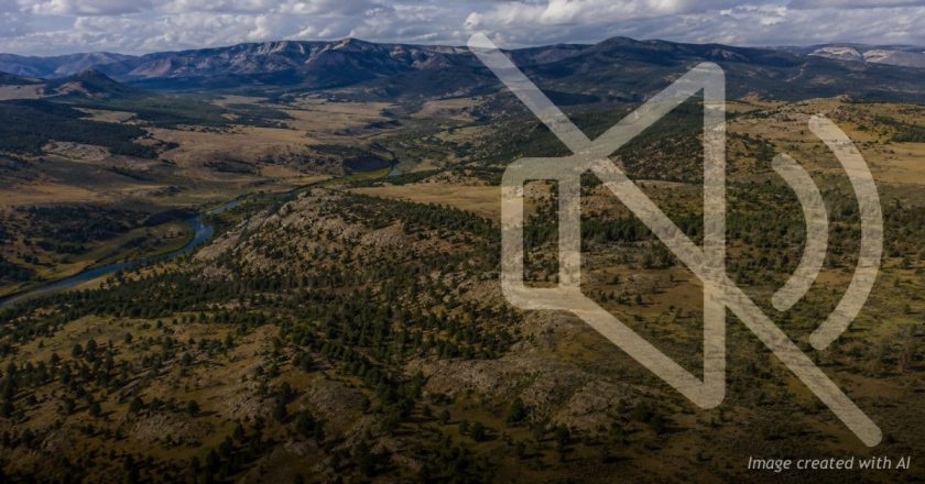 Turn down the noise: Why Steve Pearce’s BLM confirmation isn’t the crisis critics claim