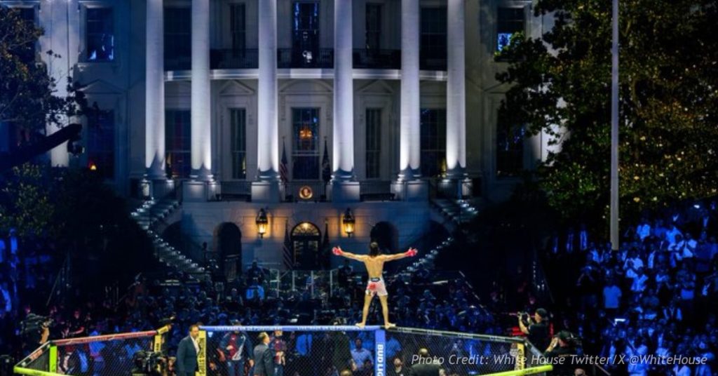 UFC Freedom 250 cage on the White House South Lawn during the June 14 event in Washington, D.C.