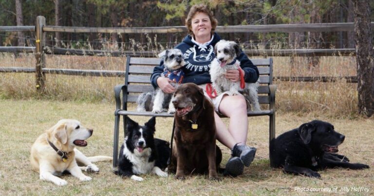 Jill Haffley, Colorado House District 16 candidate, seated on a bench outdoors with her six dogs