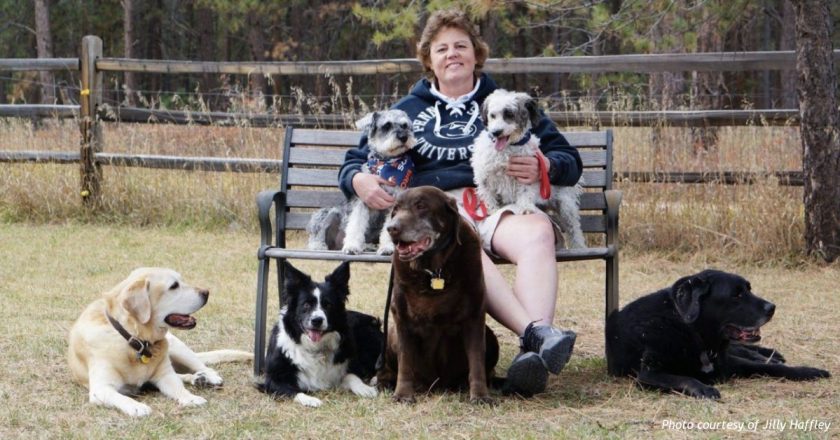 A three-vote district, a 30-year teacher, and the case Jill Haffley is making to HD16