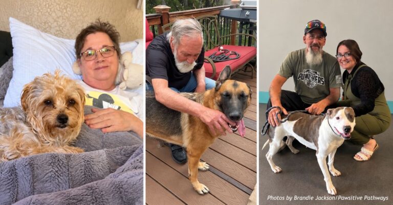 Three Colorado veterans and family members with the rescue dogs they adopted through Pawsitive Pathways.